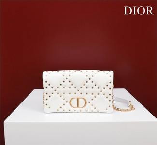 DIOR Handbags 1228